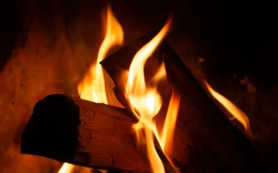 Un hiver douillet et respectueux de l’environnement